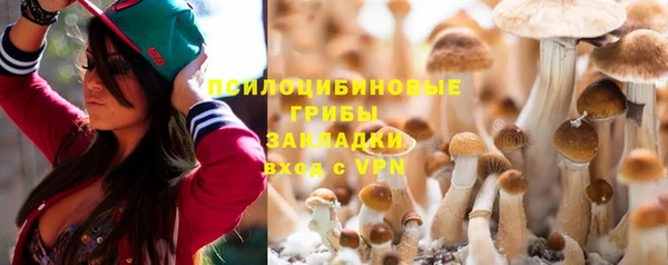 бошки Абинск