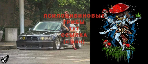 мет Абаза