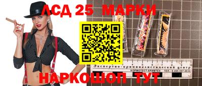 СК Каменск-Шахтинский