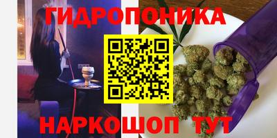прущие грибы Ижевск