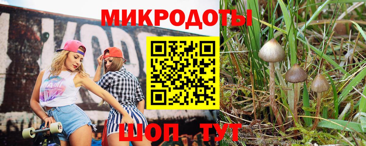 Азов  Псилоцибиновые грибы мицелий  Вход с VPN 